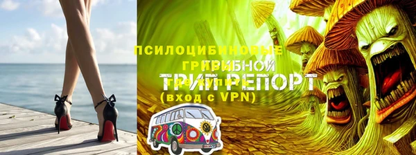 Альфа ПВП Абаза