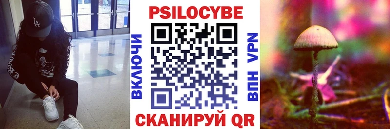 Псилоцибиновые грибы мухоморы  наркошоп  Новоалександровск 