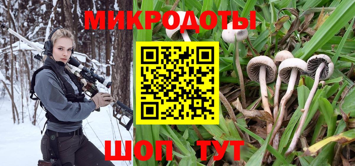 Галлюциногенные грибы Psilocybine cubensis Новоалександровск